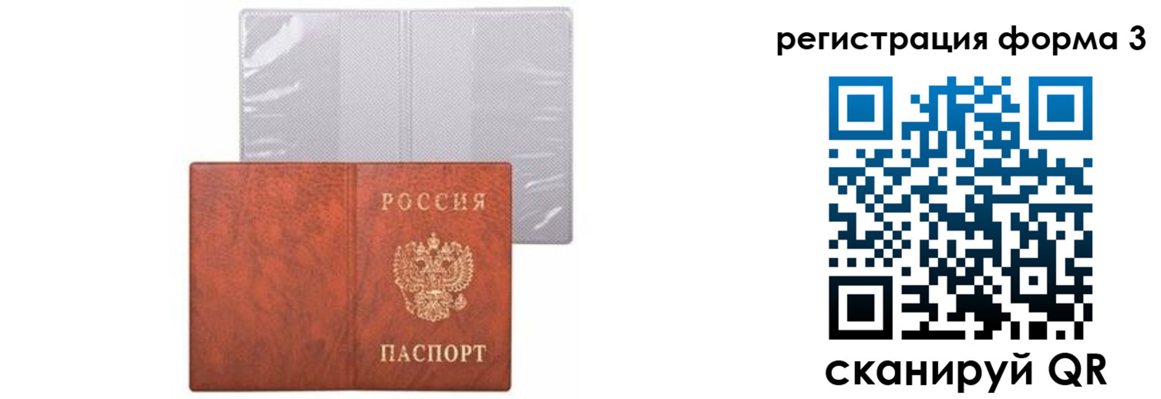 прописка 2025 в Ельце